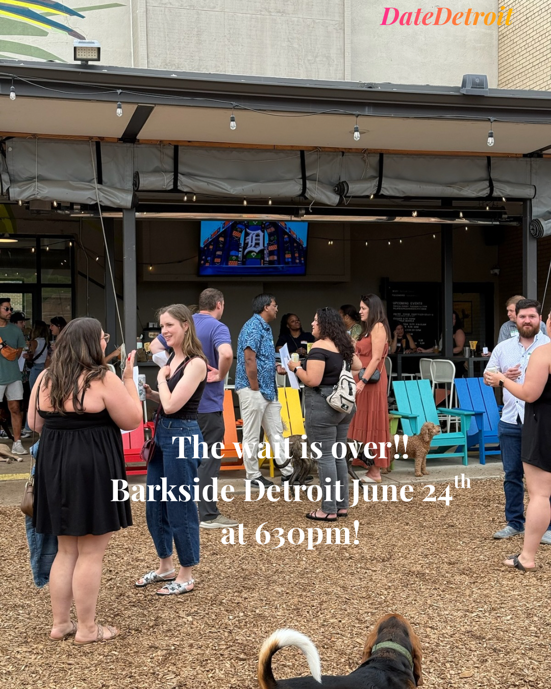 DateDetroit Singles night at Barkside Detroit